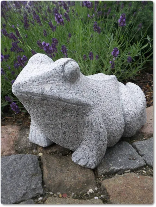 Frosch aus dem Naturstein Granit für den Gartenteich