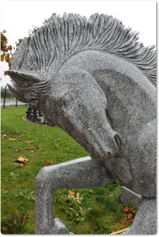 Detail Kopf des Pferdes