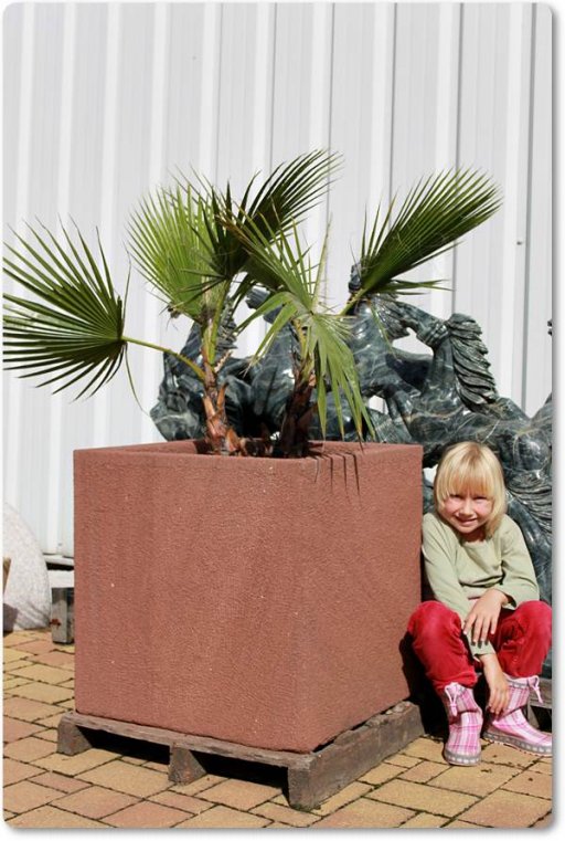 Pflanztrog aus Sandstein für Garten