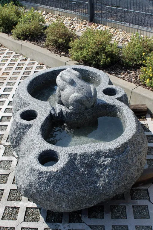 Draufsicht des Springbrunnen mit Frosch