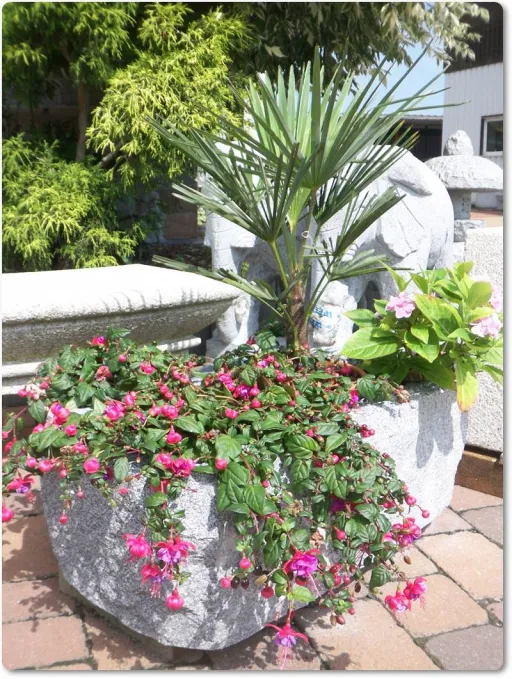 Steintrog für den Garten in rustikaler Optik