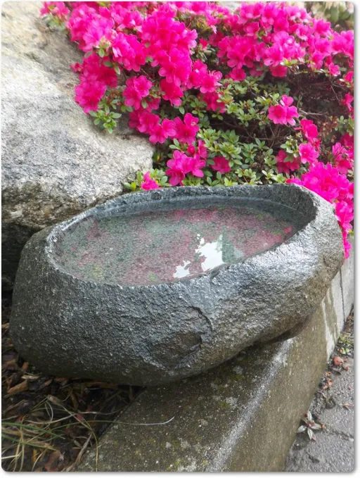 Vogelbad Natur Granit für den Garten
