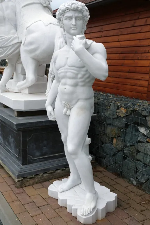 Statue das David aus weißem Marmor