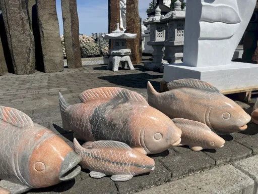 Koi-Fische Groß und Klein für den Gartenteich