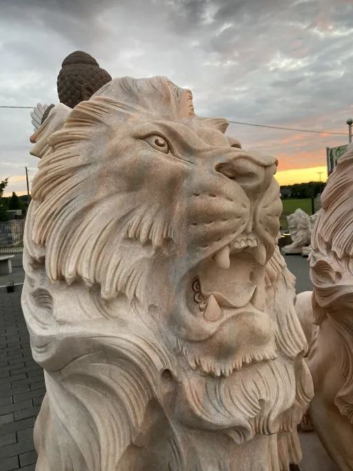 Löwenkopf mit offenem Maul bei Sonnenuntergang