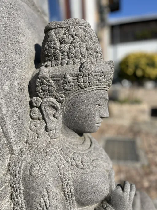 Detail rechte Seite des Kopfes