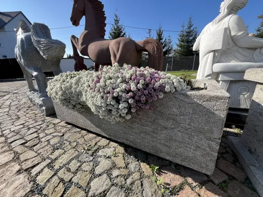 Steintrog aus Kalkstein bepflanzt