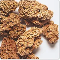 Dekosteine 'Red Spaghetti'