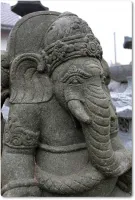 Elefantenkopf des Ganesha