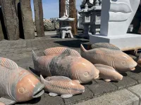 Koi-Fische Groß und Klein für den Gartenteich