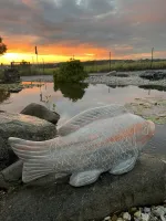 Lager Koi-Fische orange, grün, schwarz marmoriert