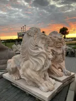Löwenpaar bei Sonnenuntergang