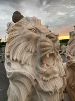 Löwenkopf mit offenem Maul bei Sonnenuntergang