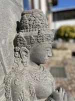 Detail rechte Seite des Kopfes