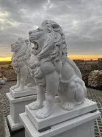 Wächterlöwen bei Sonnenuntergang