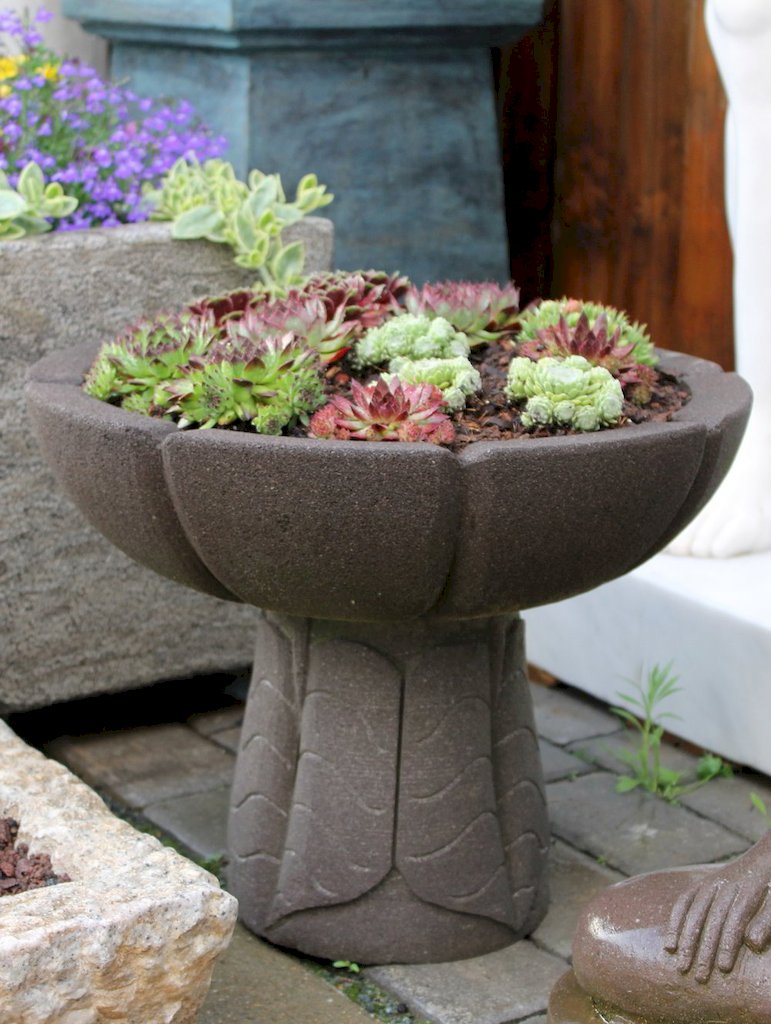 Pflanzschale aus schwarzer Lava für den Garten