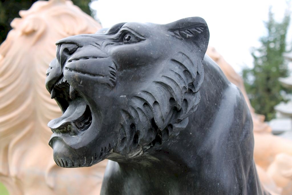 Schwarze Tiger Schwarze Tiger