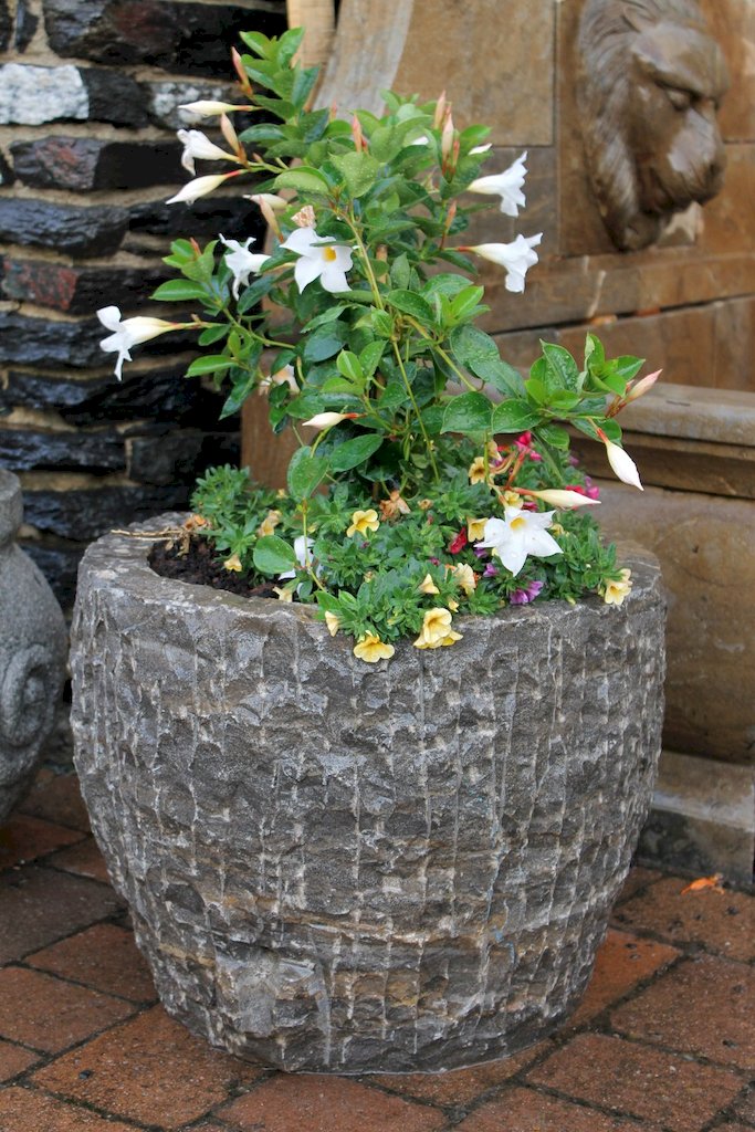 Steintrog aus grob behauenen Kalkstein