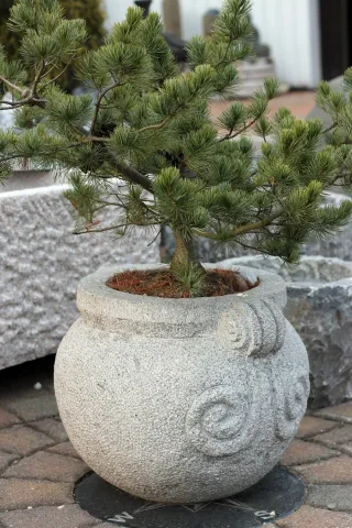 Pflanztrog aus Granit mit Verzierungen für die Terrasse