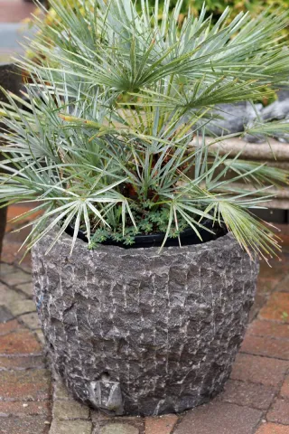 Steintrog aus Kalkstein grob gehauen für die Gartendekoration